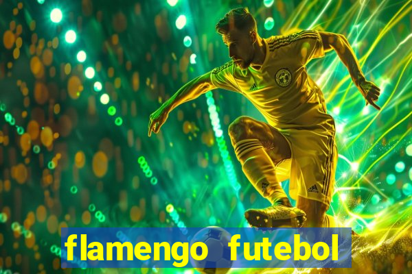 flamengo futebol play hd